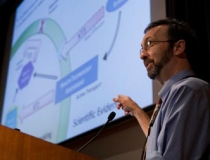 Research Standards